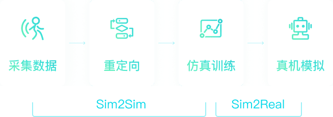 Training Process Mobile
